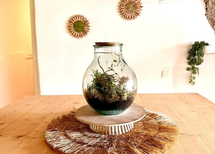 Cueva Thalia - Luxury Cave With Heated Indoor Pool And Garden * San Miguel de Abona